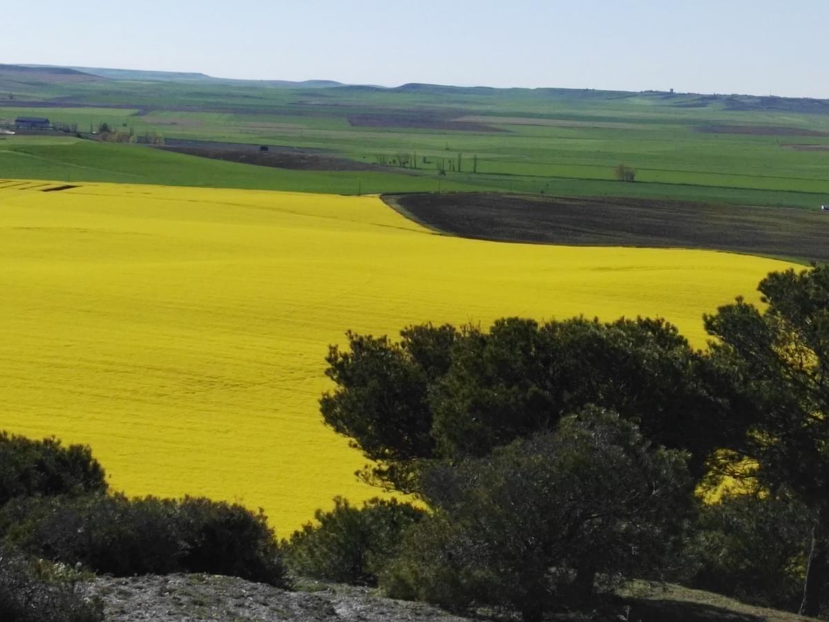 Mota del Marqués La Aldea Colorada Casa Rural מראה חיצוני תמונה
