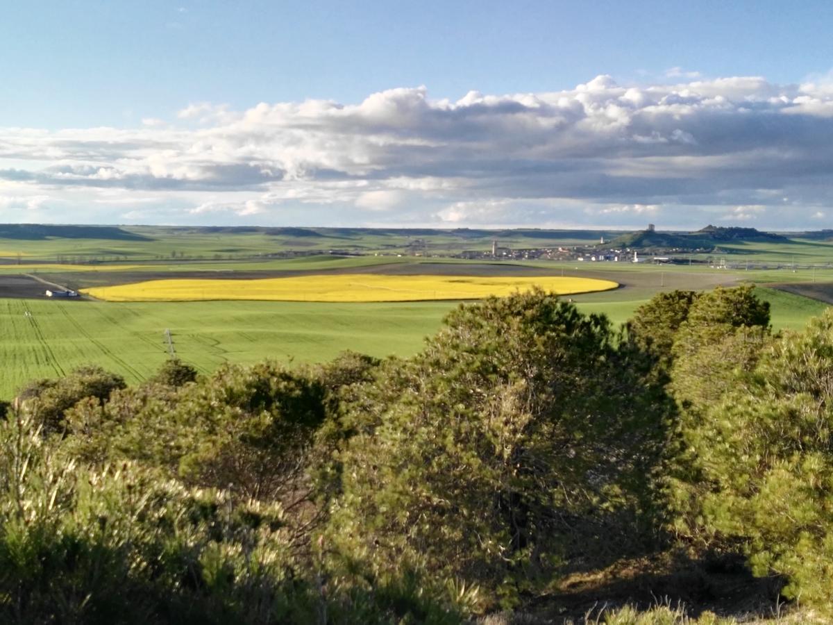 Mota del Marqués La Aldea Colorada Casa Rural מראה חיצוני תמונה