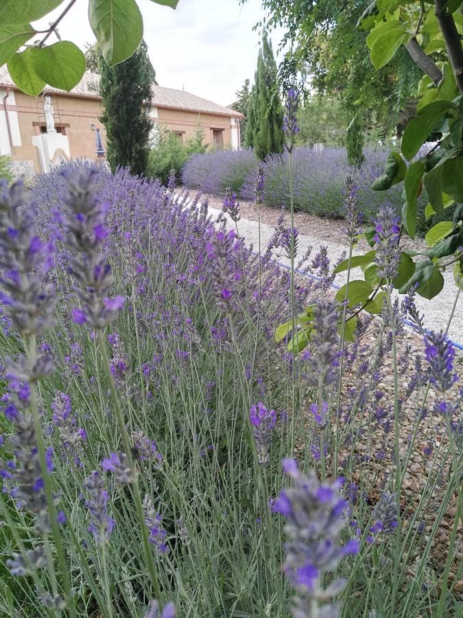 Mota del Marqués La Aldea Colorada Casa Rural מראה חיצוני תמונה
